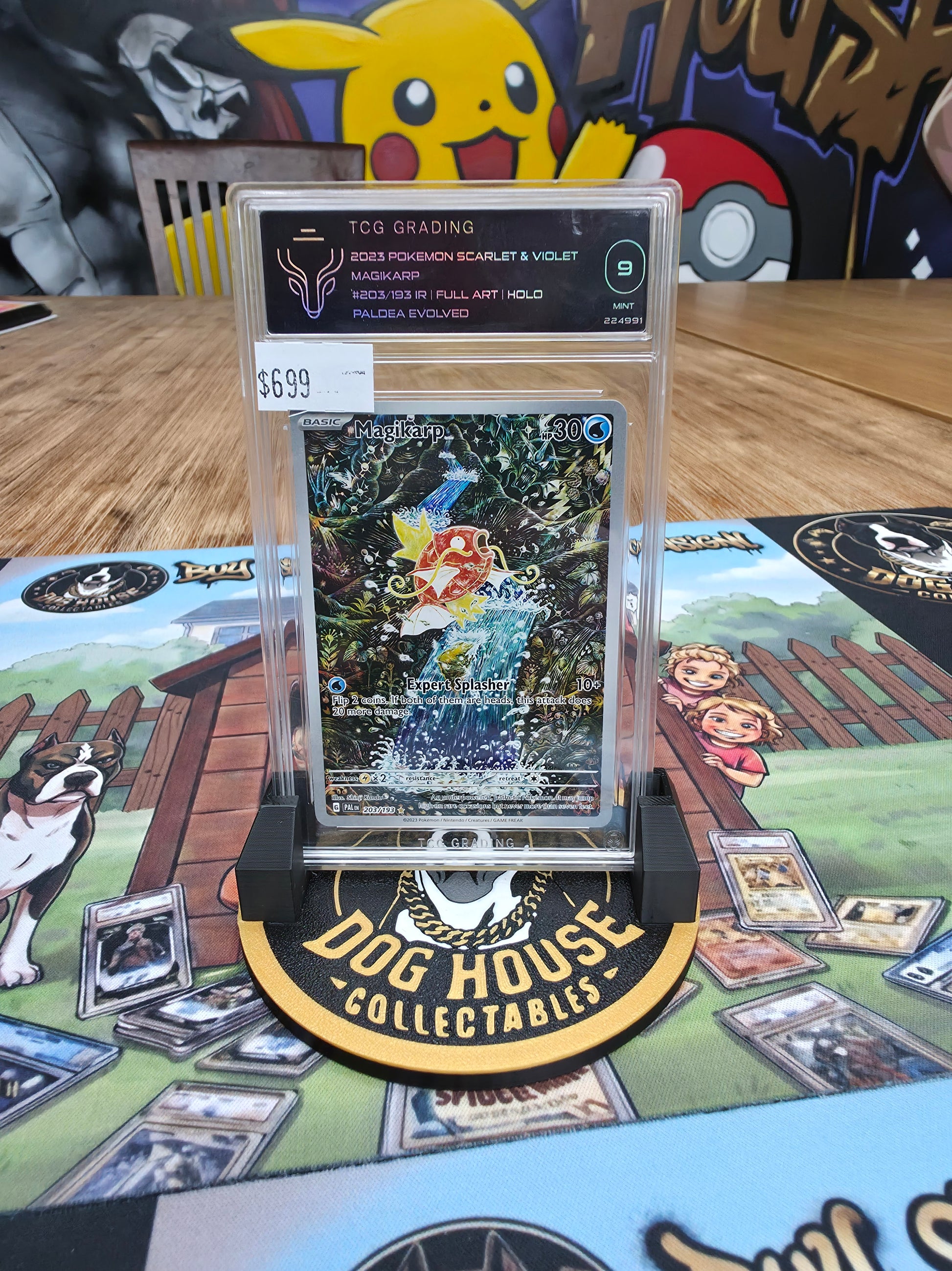 Magikarp 203/193 Paldea Evolved Illustration Rare Full Art | TCG Grading Mint 9 | Pokémon 2023-1